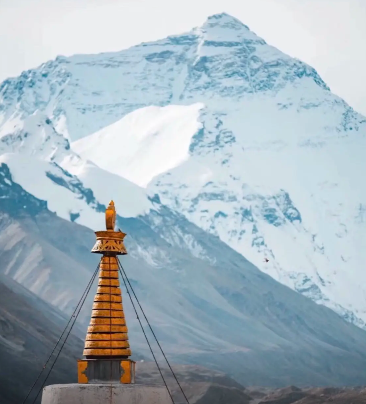 Tibetan Weaves & Packaging — Cycle & Rebirth
